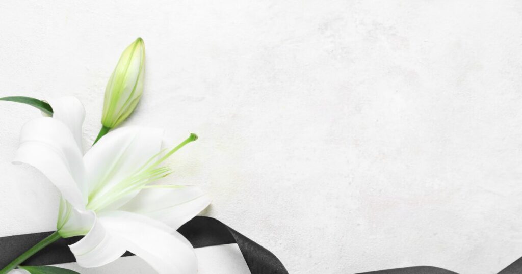 家族葬の平均費用はいくら？人数・地域・内訳ごとの相場と実例をわかりやすく解説