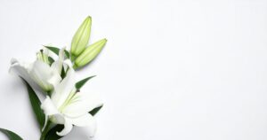 ご葬儀後に必要な手続き一覧｜役所・年金・相続までのスケジュール